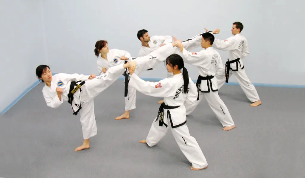 Taekwondo ITF - International Taekwondo Federation