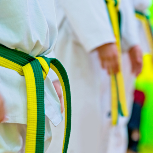 TAEKWONDO: A Evolução das Cores das Faixas